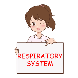 RESPIRATORY SYSTEM
